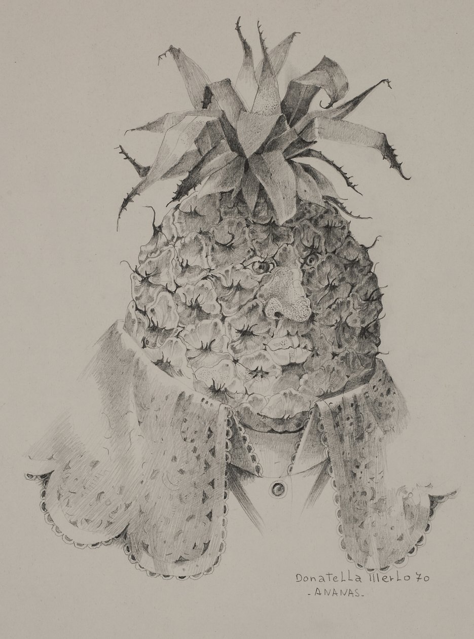 Ananas - Donatella Merlo