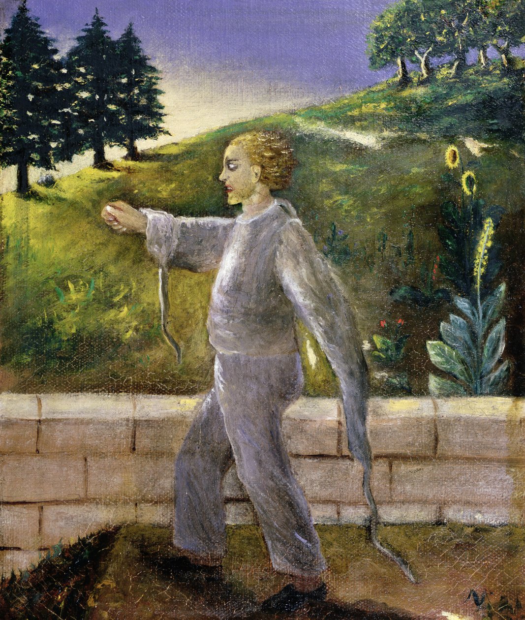 Patient mental faisant une promenade matinale - Dr. Max Simon