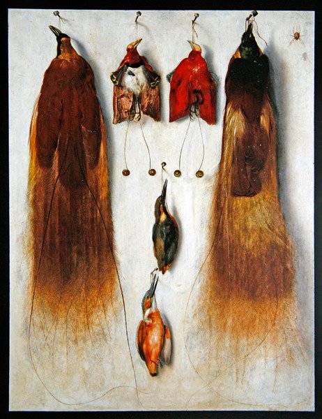 Oiseaux de Paradis - Dutch School