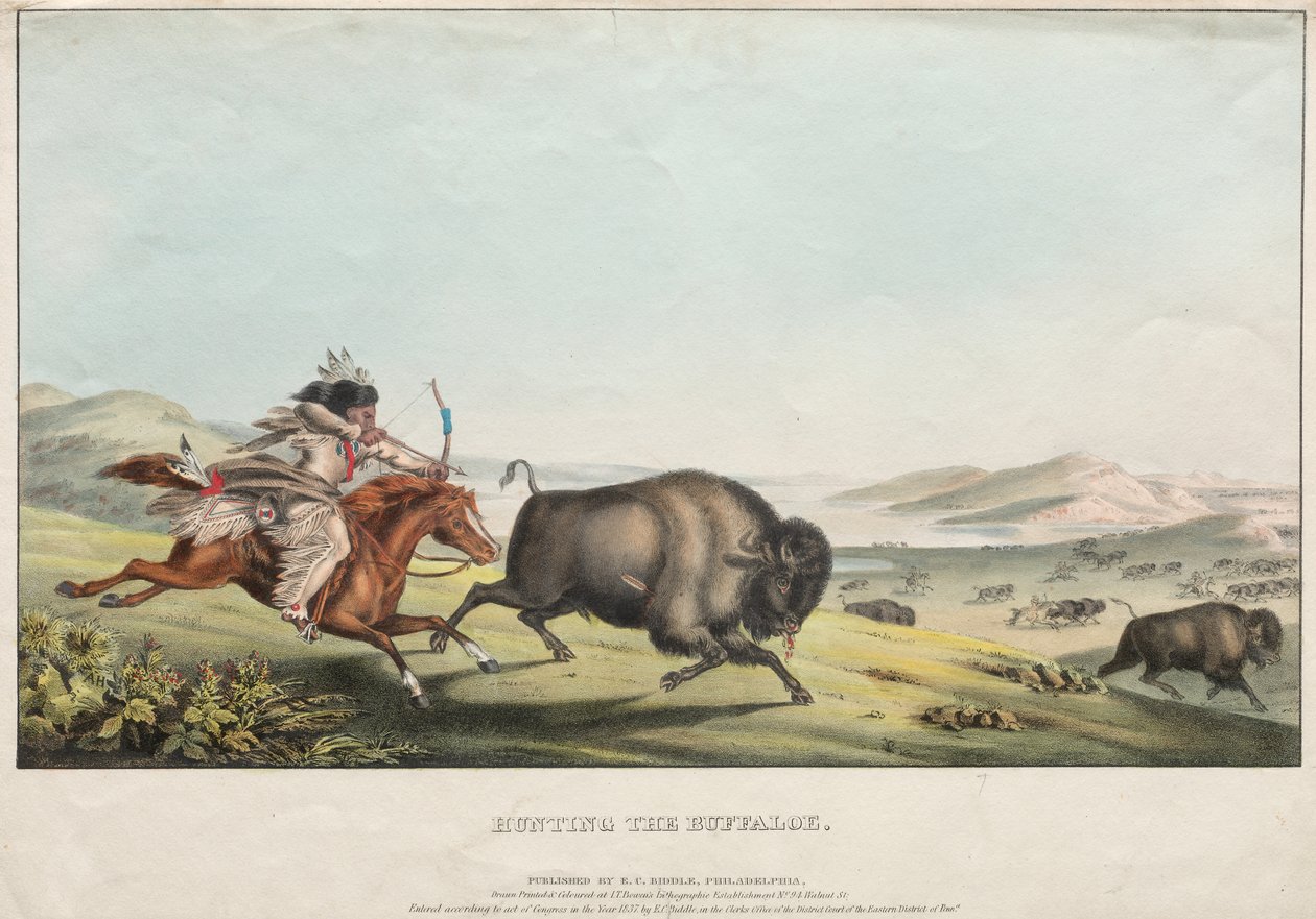 Chasse au Bison - E. C. Biddle