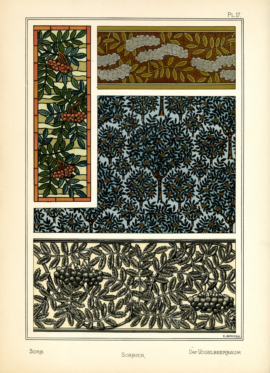 Le sorbier - E. Hervegh