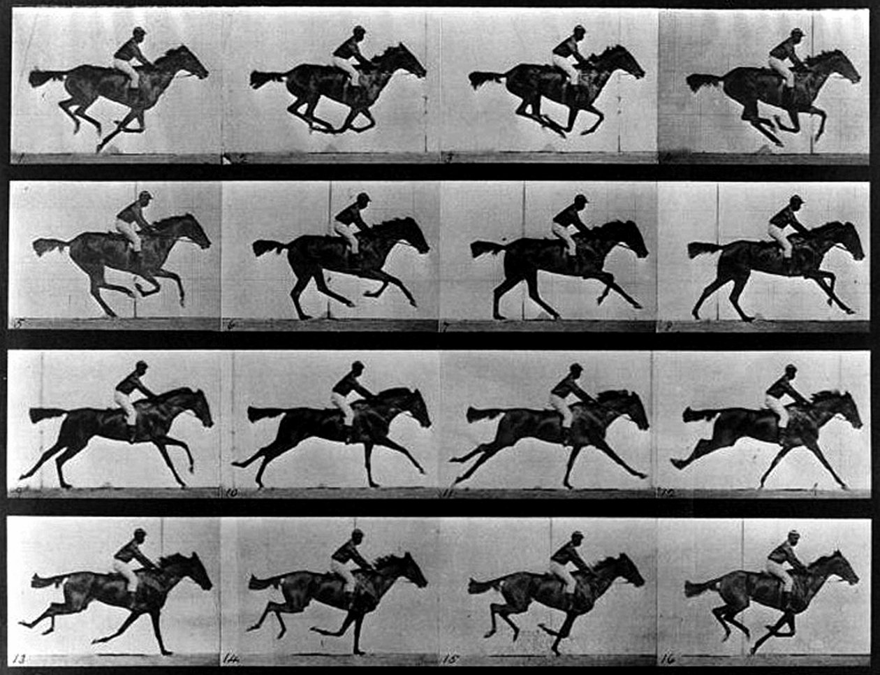 Une Photographie en Séquence - Eadweard Muybridge