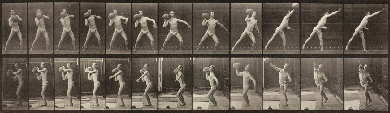 Locomotion animale, Planche 319, 1887 - Eadweard Muybridge