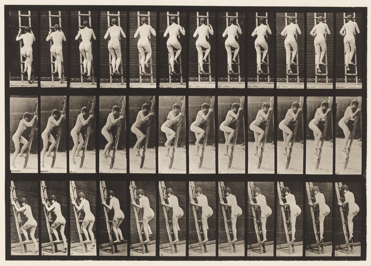 Planche 112. Monter une échelle - Eadweard Muybridge