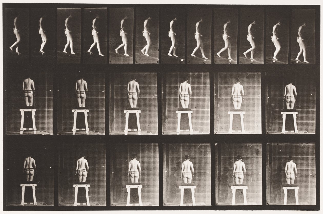Planche 118. Descendre une pente - Eadweard Muybridge