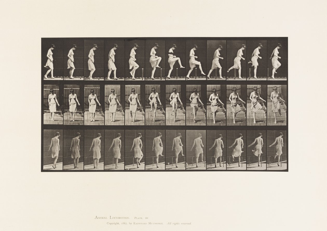 Passer par-dessus une clôture - Eadweard Muybridge