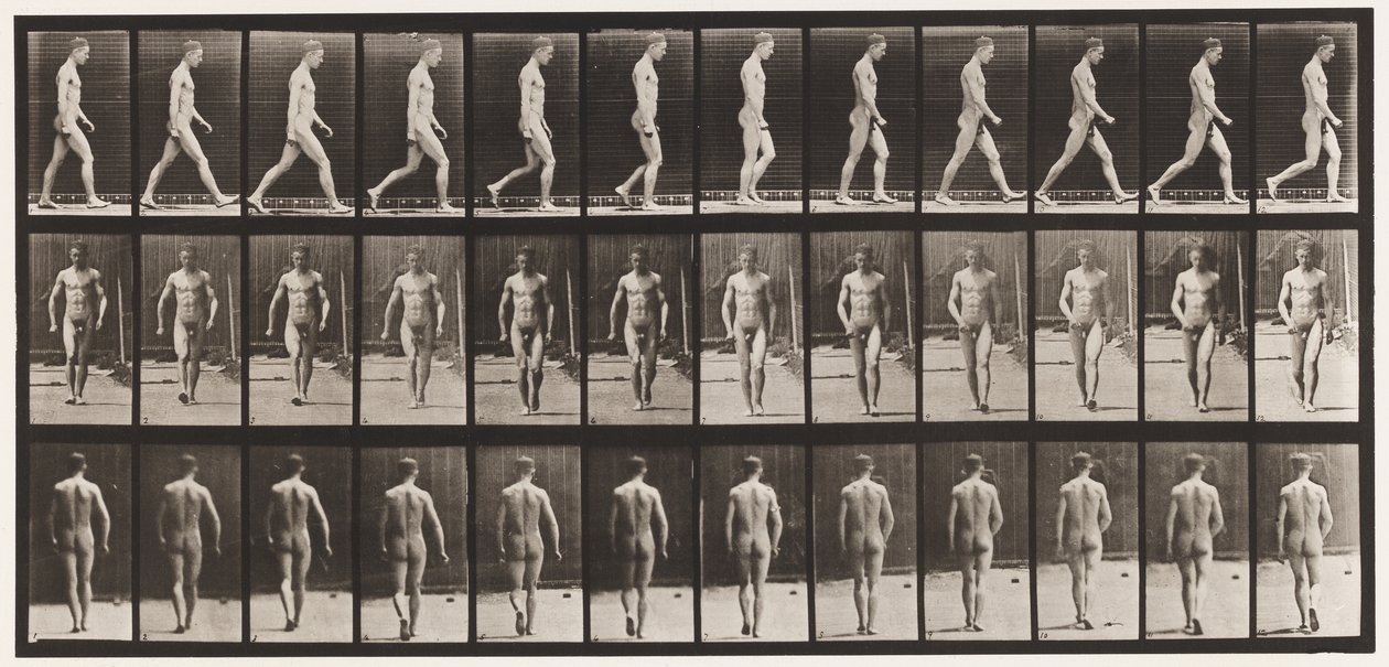 Planche 1. Marche - Eadweard Muybridge