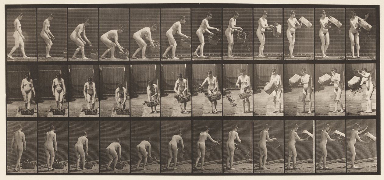 Plaque 213. Soulever et vider un panier - Eadweard Muybridge