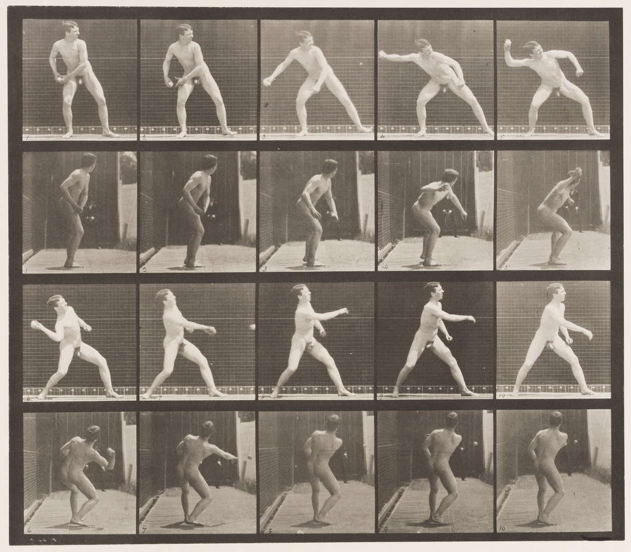 Planche 273. Base-ball; Lancer - Eadweard Muybridge