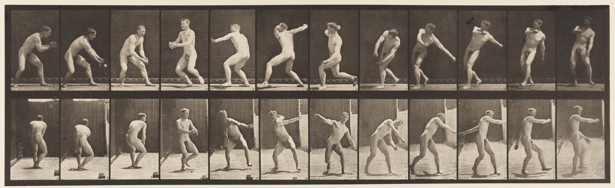 Base-ball; Attraper et Lancer, 1885 - Eadweard Muybridge