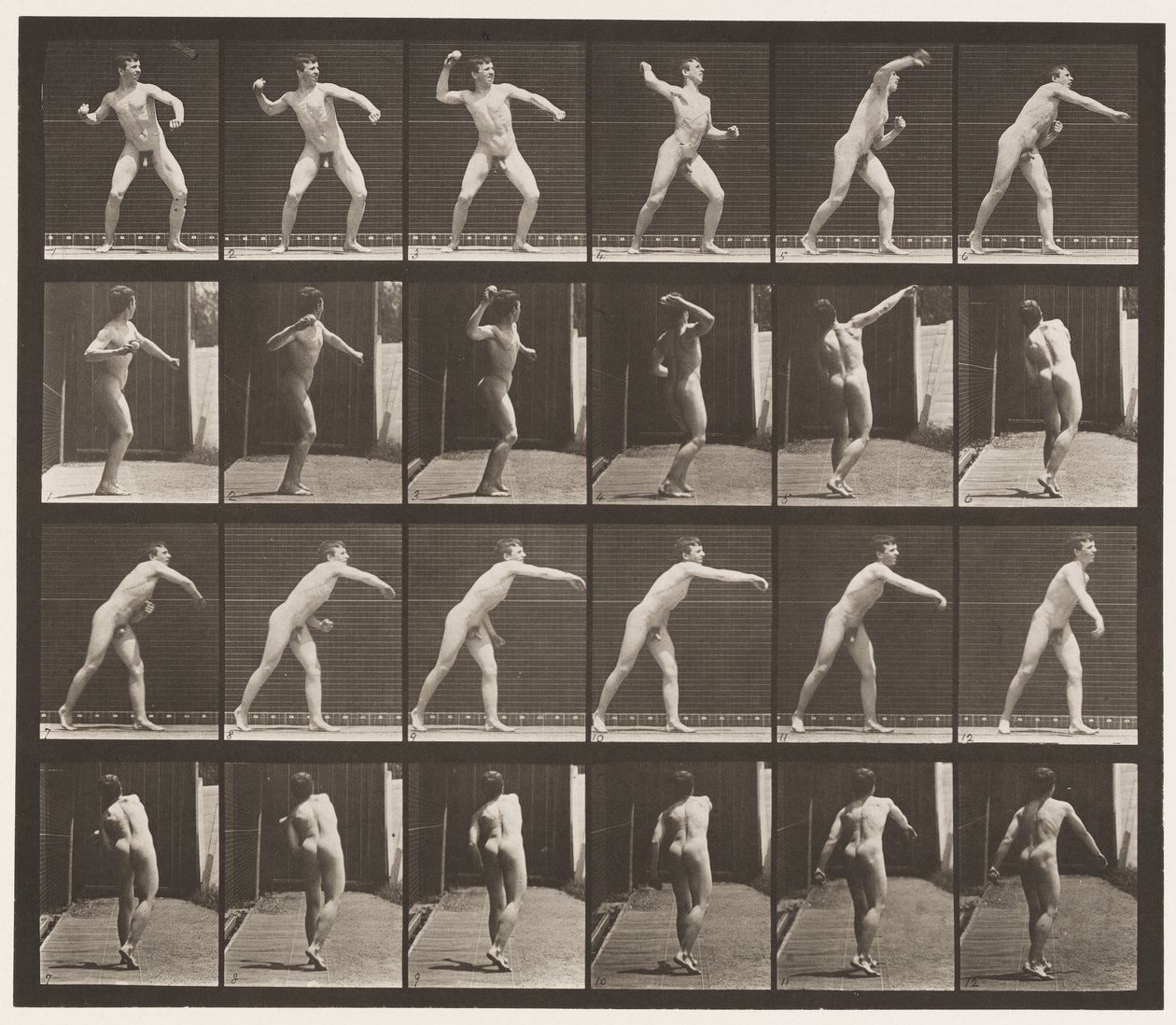Planche 286. Base-ball; Lancer - Eadweard Muybridge