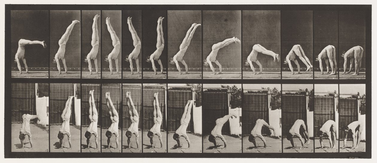 Acrobate, pression verticale - Eadweard Muybridge
