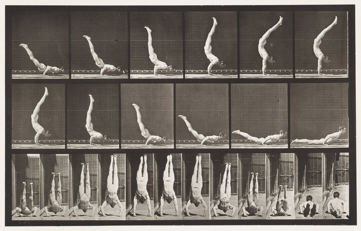 Planche 372. Acrobate, pression horizontale - Eadweard Muybridge