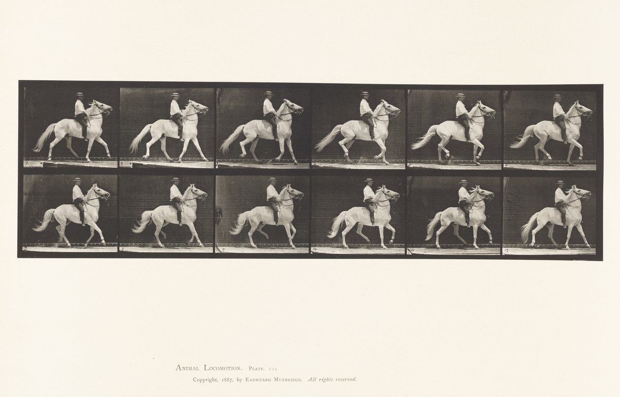 Amble - Eadweard Muybridge