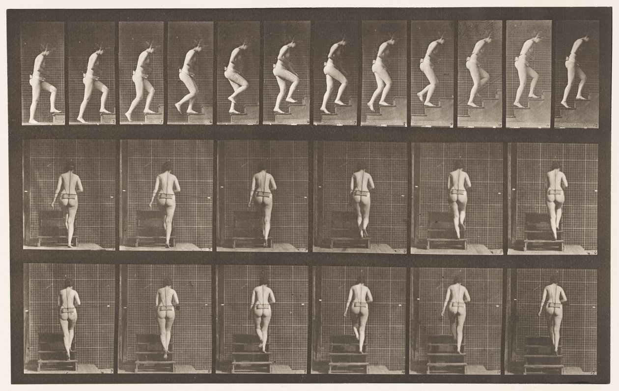 Planche 93. Montée d