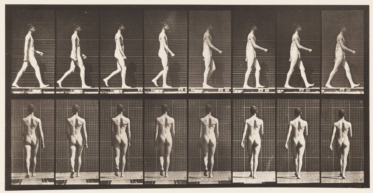 Marcher, 1872-1885 - Eadweard Muybridge
