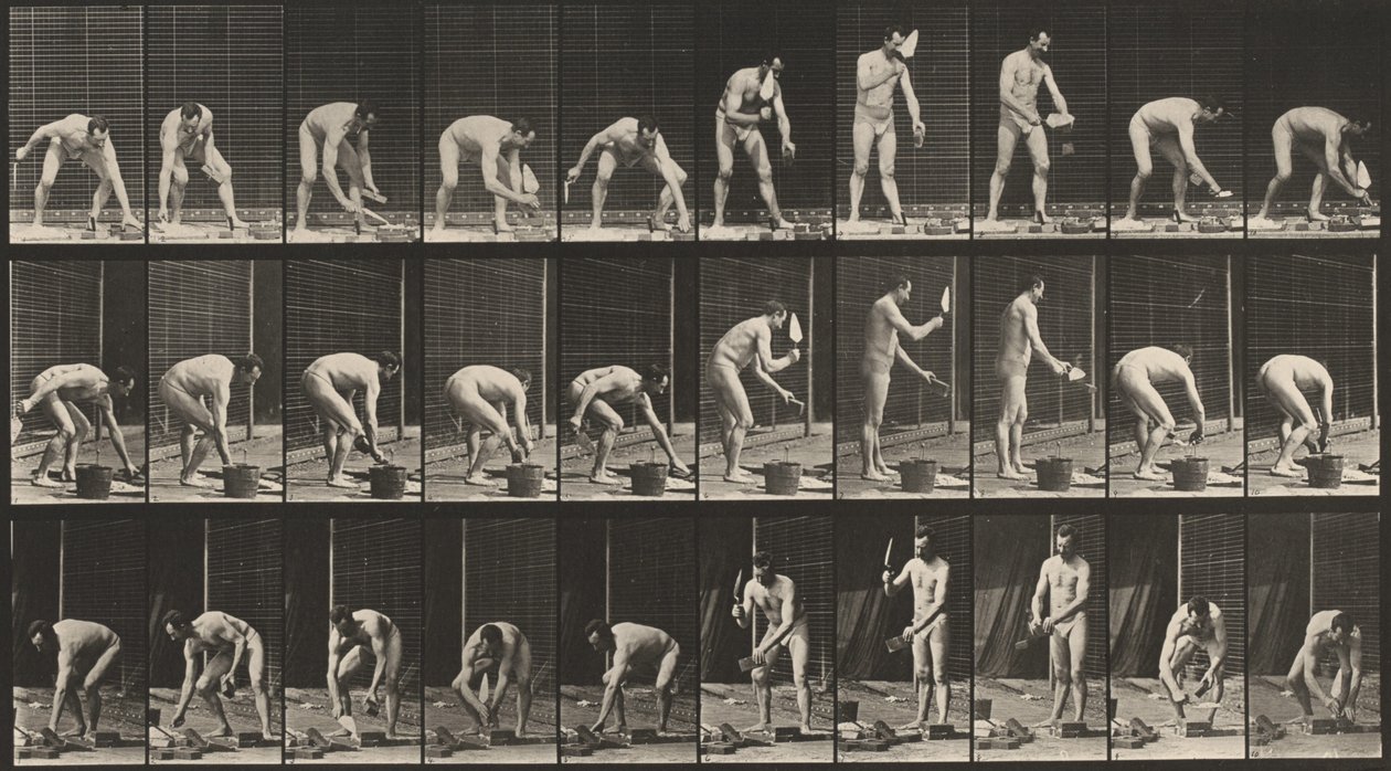Planche numéro 506. Maçonnerie, 1887 (photo) - Eadweard Muybridge