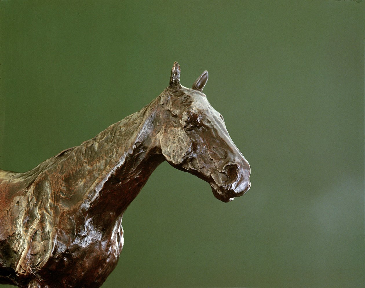 Tête de cheval (bronze) (détail) - Edgar Degas