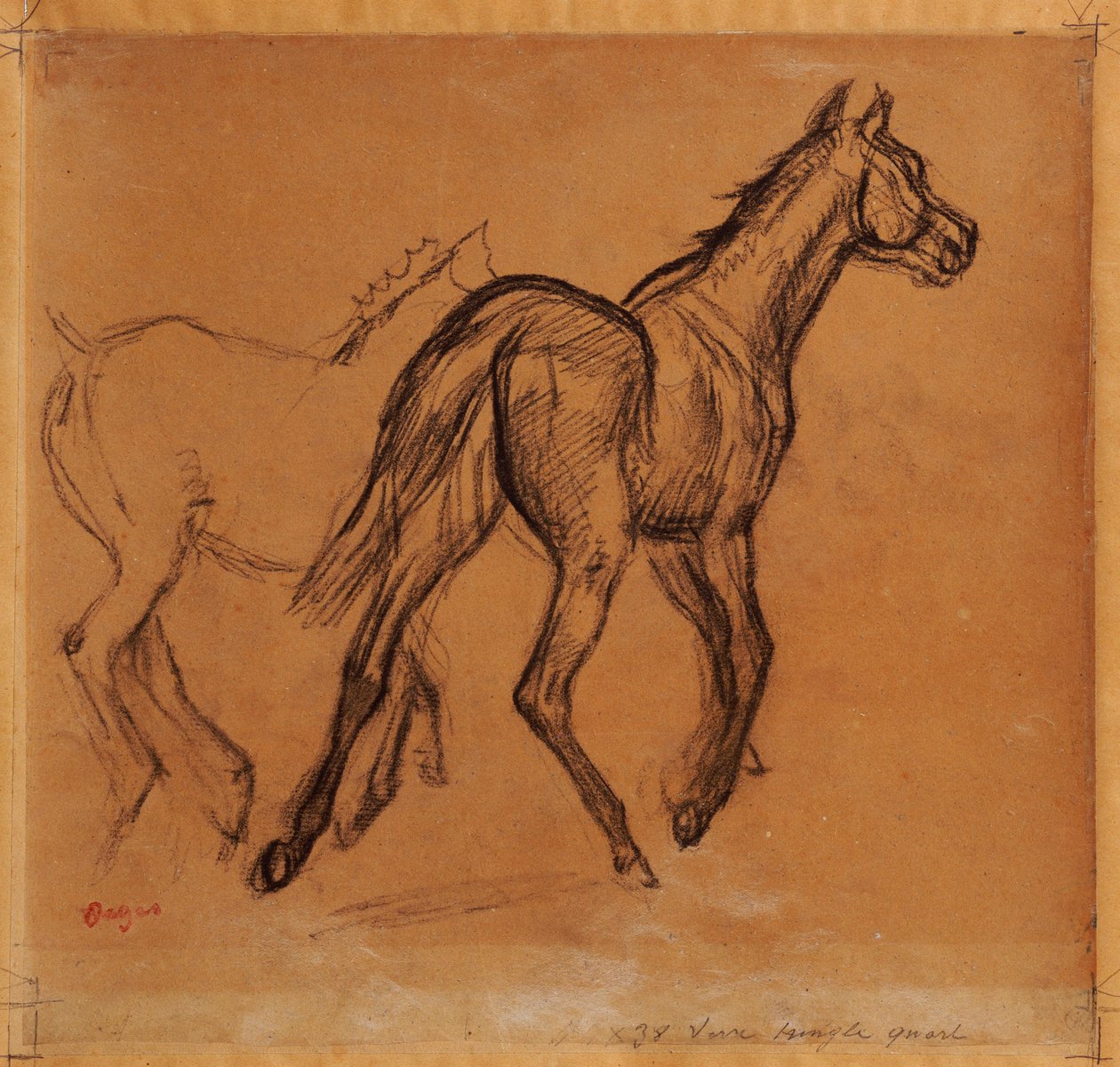 Chevaux, c.1882 - Edgar Degas