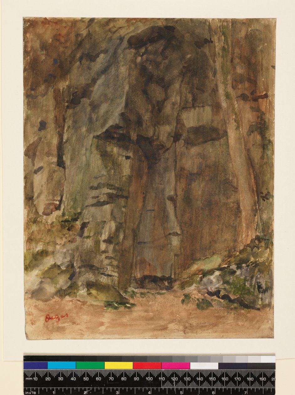 Rochers à Bagnoles-de-l
