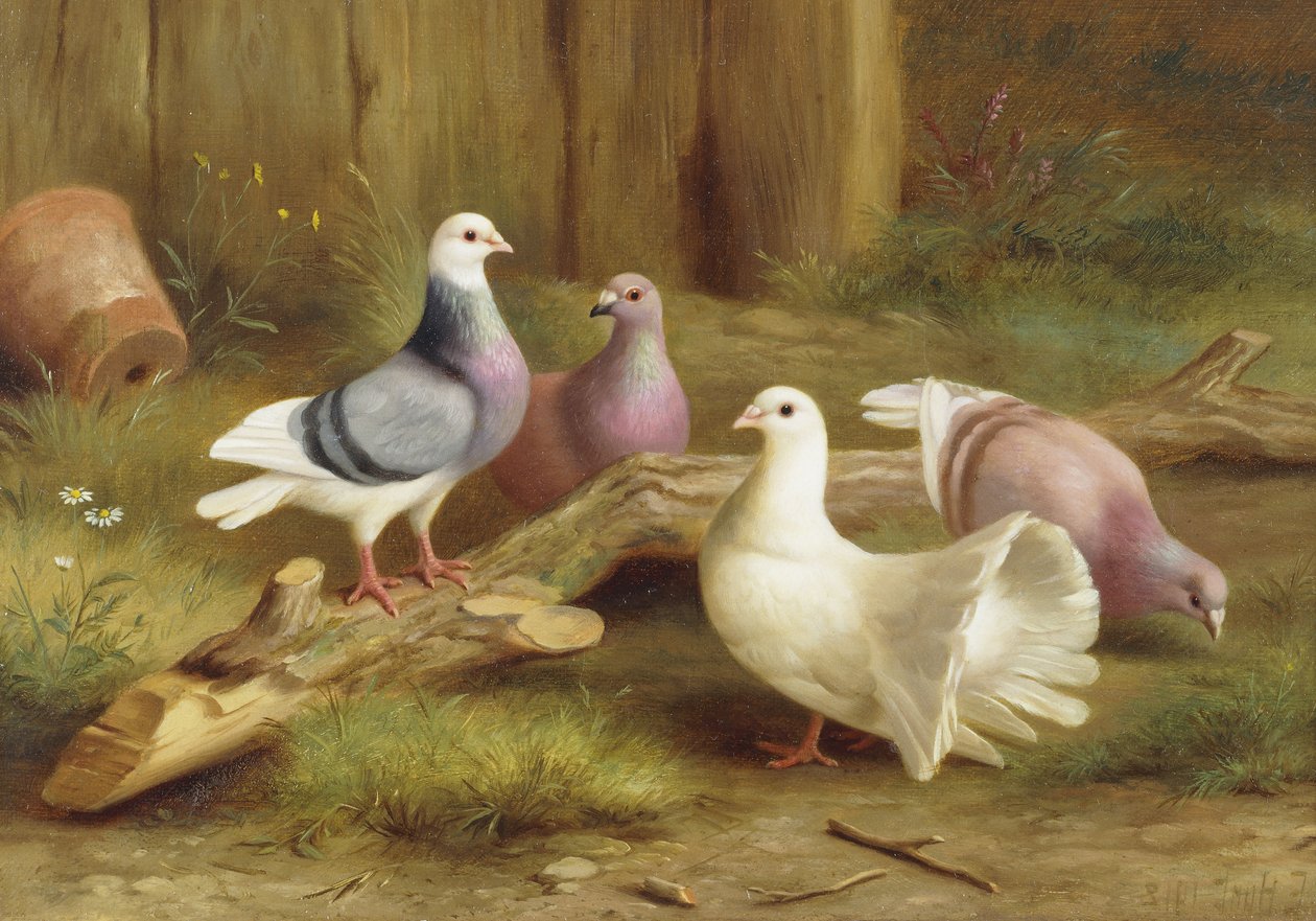 Colombes - Edgar Hunt