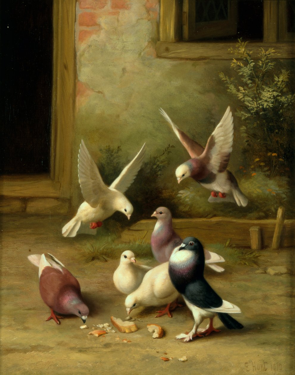 Pigeons se nourrissant - Edgar Hunt