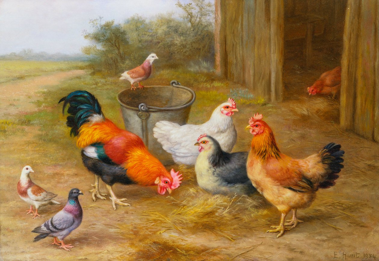 Pigeons et poules - Edgar Hunt