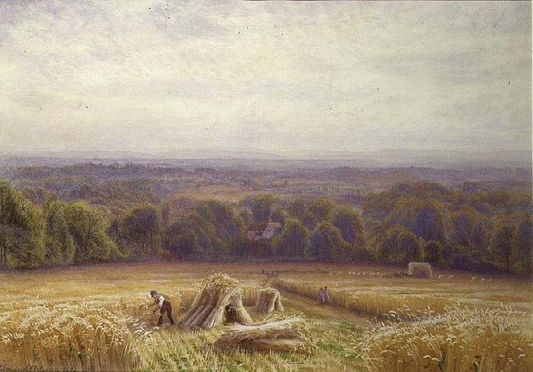 Moisson - Edmund George Warren