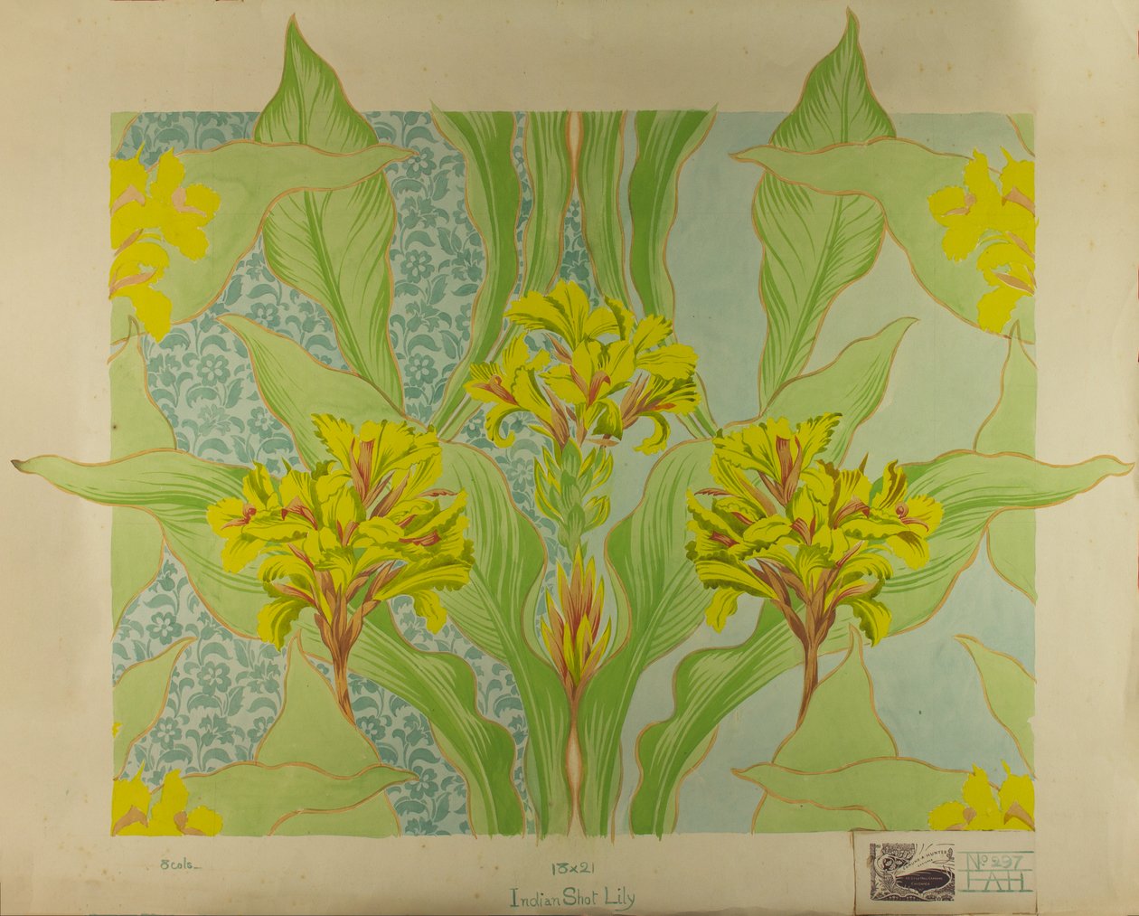 Canna indica - Edmund Hunter