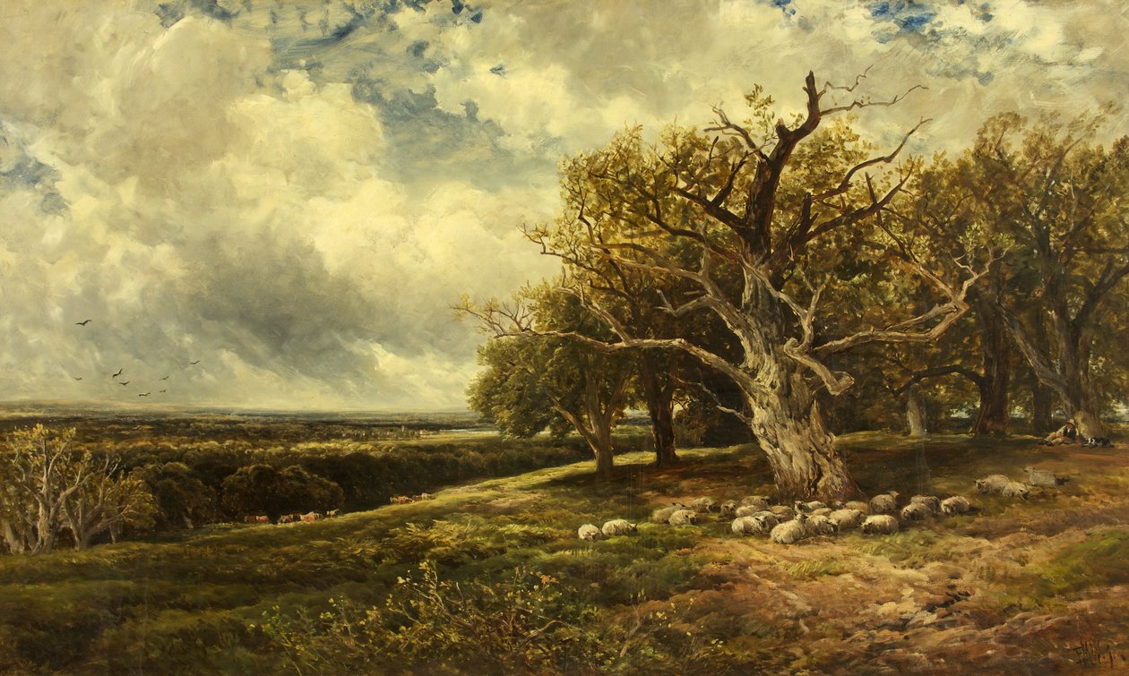 Paysage - À travers la vallée - Edmund Morison Wimperis