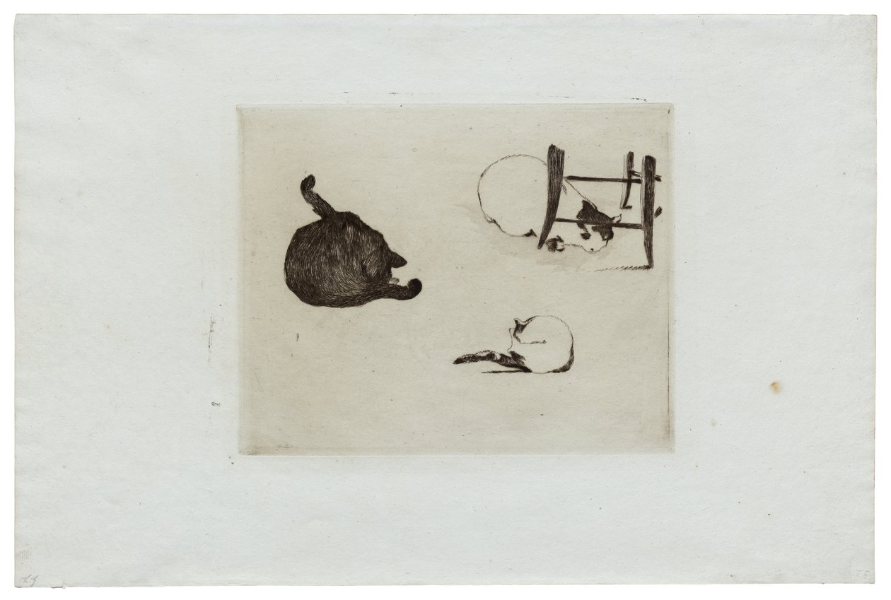 Les chats - Édouard Manet