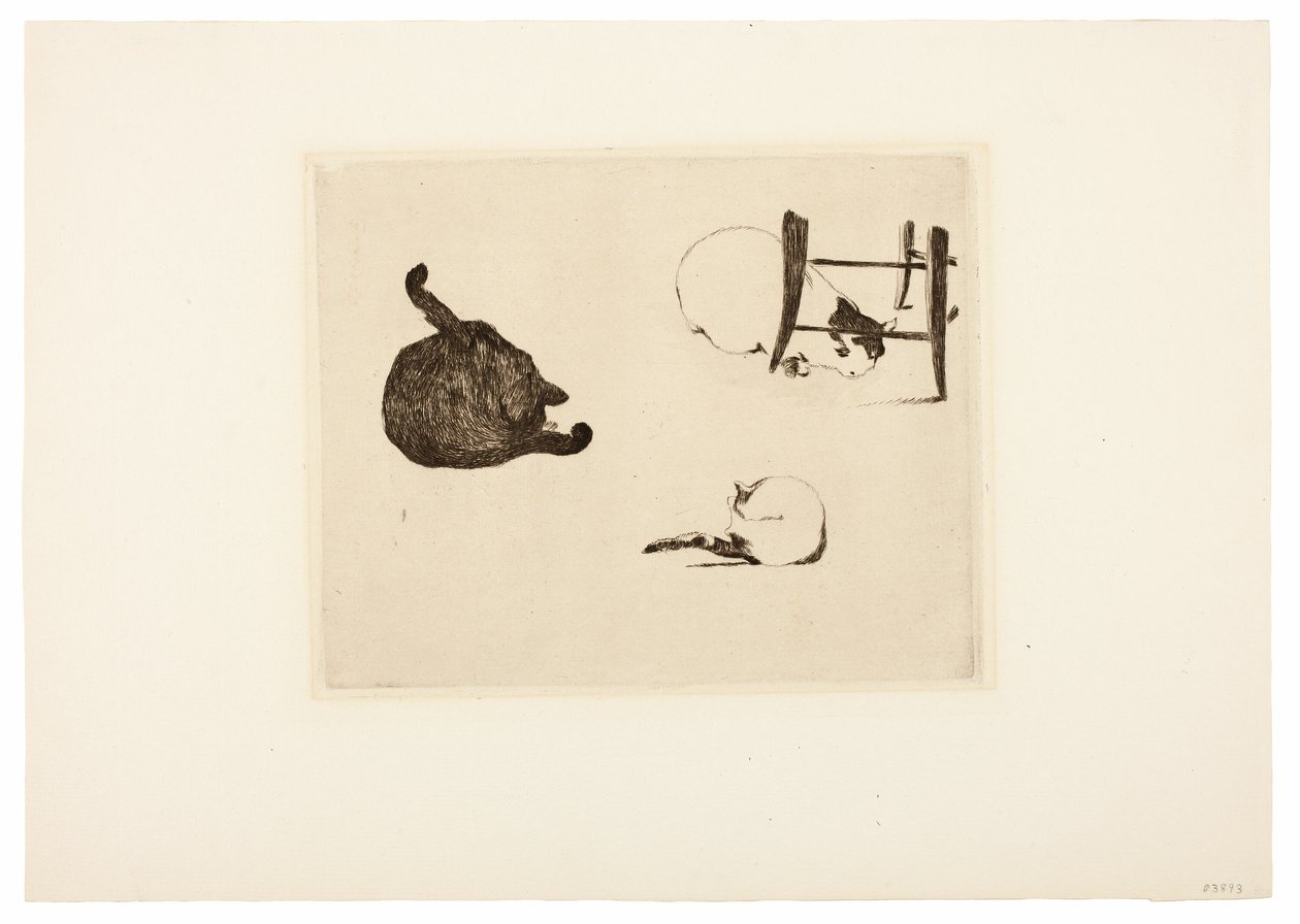 Les chats - Édouard Manet