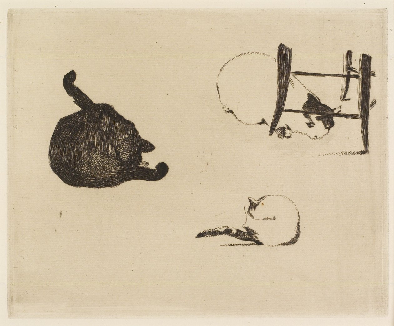 Les chats, 1869 - Édouard Manet