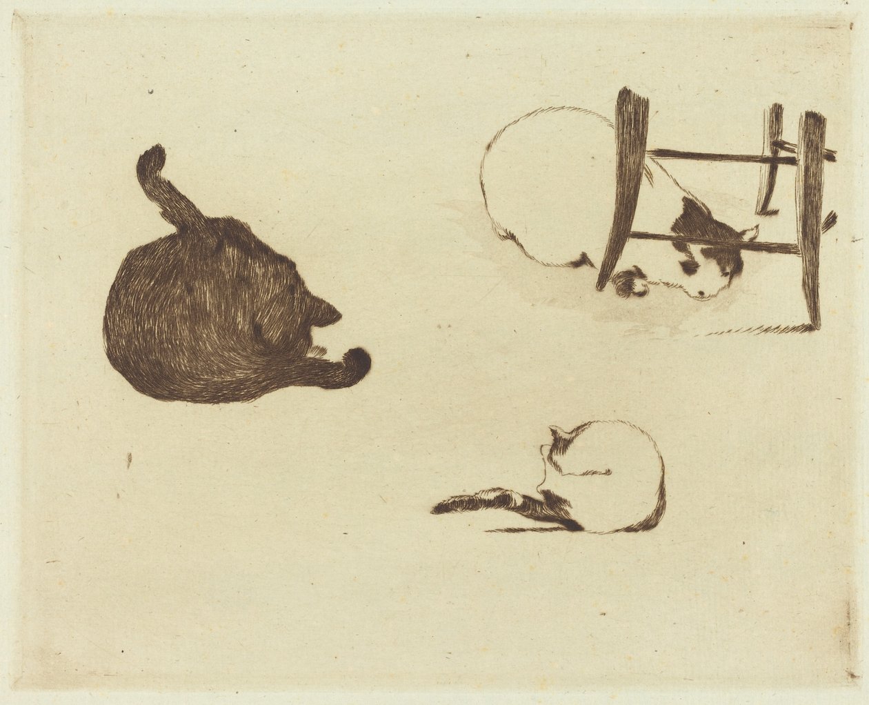 Les chats, 1869 - Édouard Manet