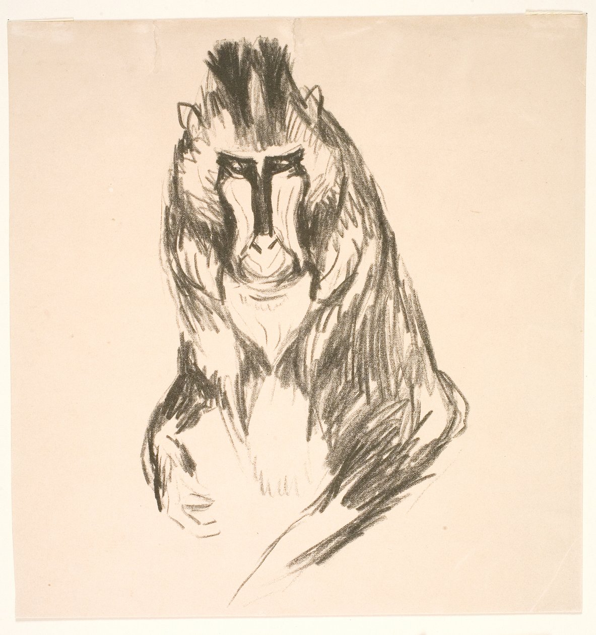 Gorille (Mandrill) - Edvard Munch