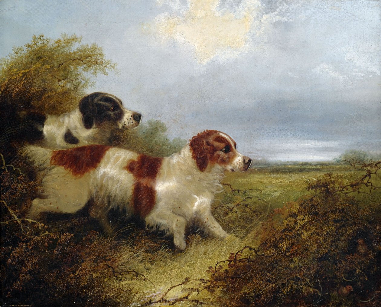 Deux terriers - Edward Armfield