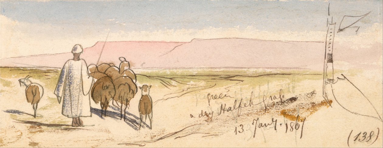 Une herbe sèche de Halfeh - Edward Lear