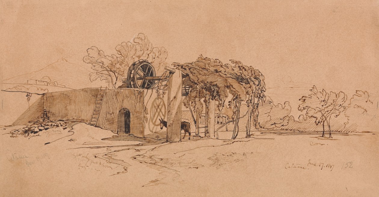 Catane - Edward Lear