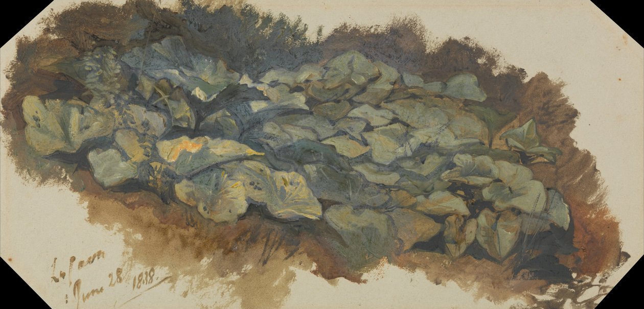 La Cava - Edward Lear