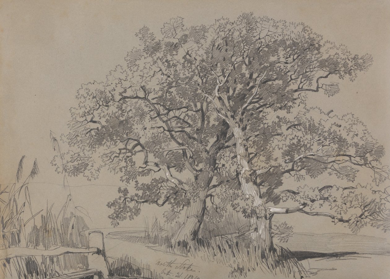 North Stoke, 21 octobre 1834 - Edward Lear