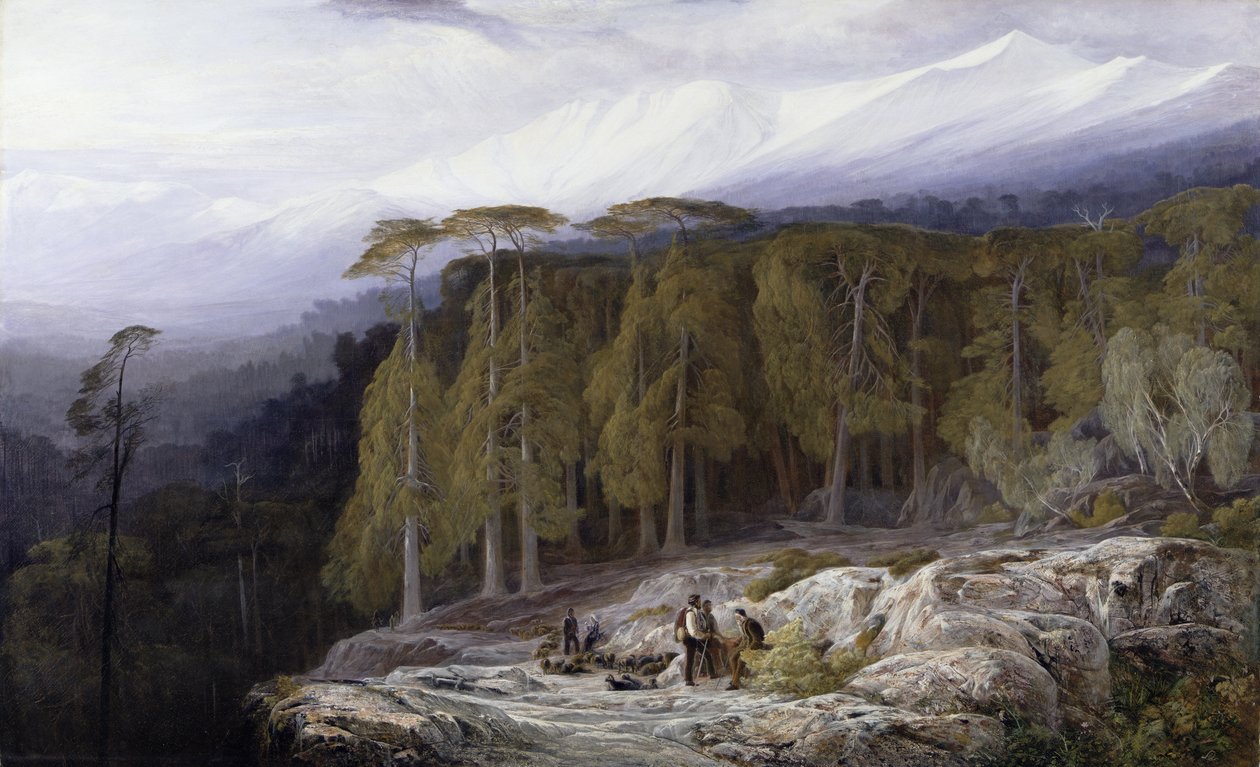 La forêt de Valdoniello, Corse, 1869 - Edward Lear