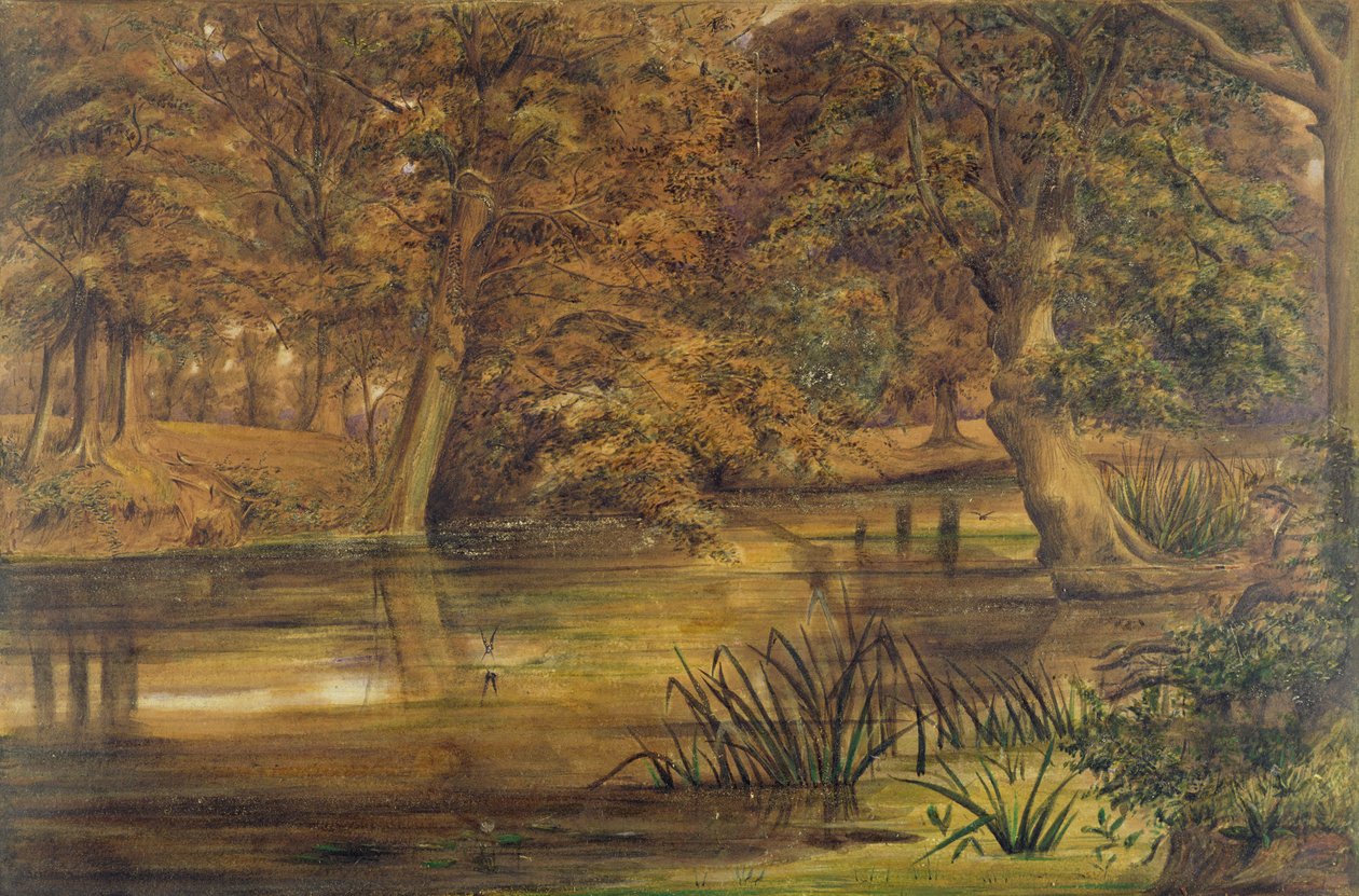 Eaux calmes de la Bratford, 1864 - Edward W. Fitch