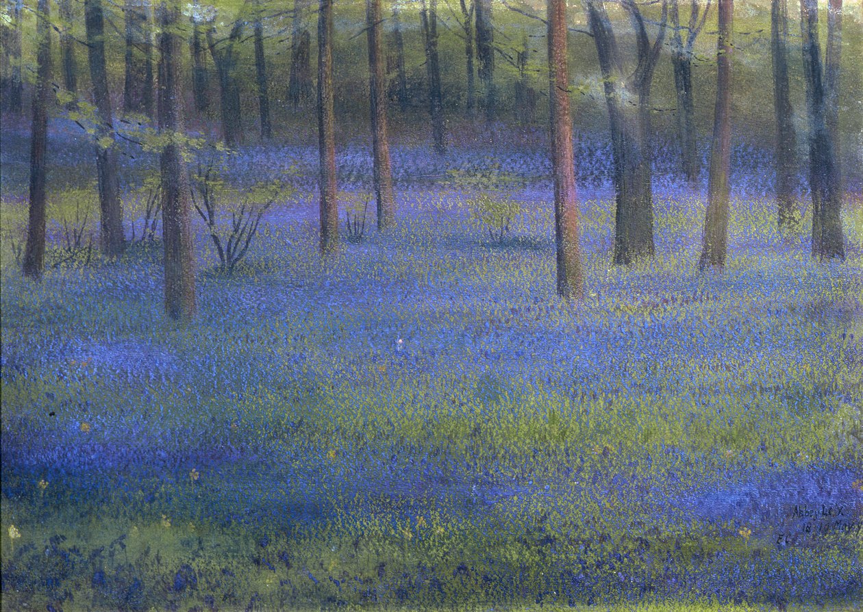 Bois de Jacinthes - Edward Clifford