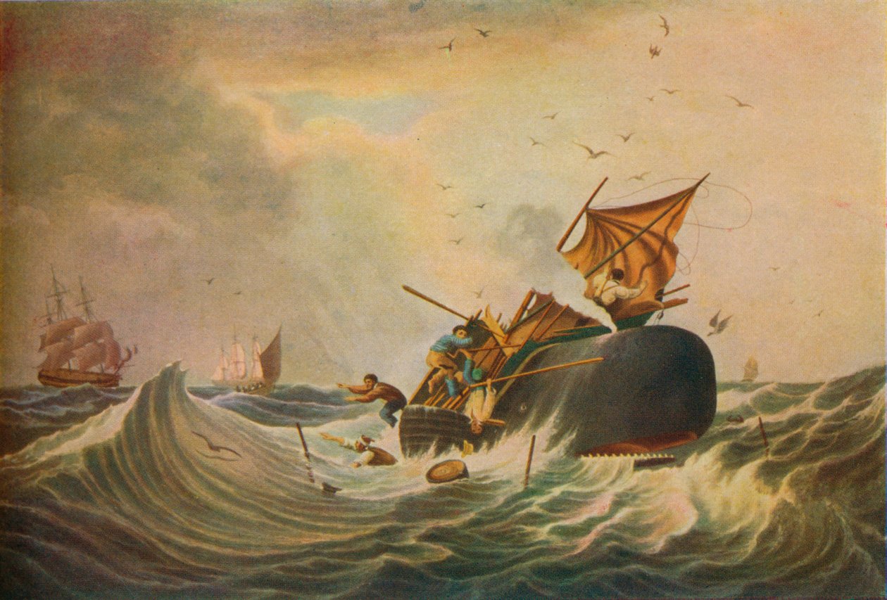 Pêche à la baleine dans les mers du Sud, 1836 - Edward Duncan