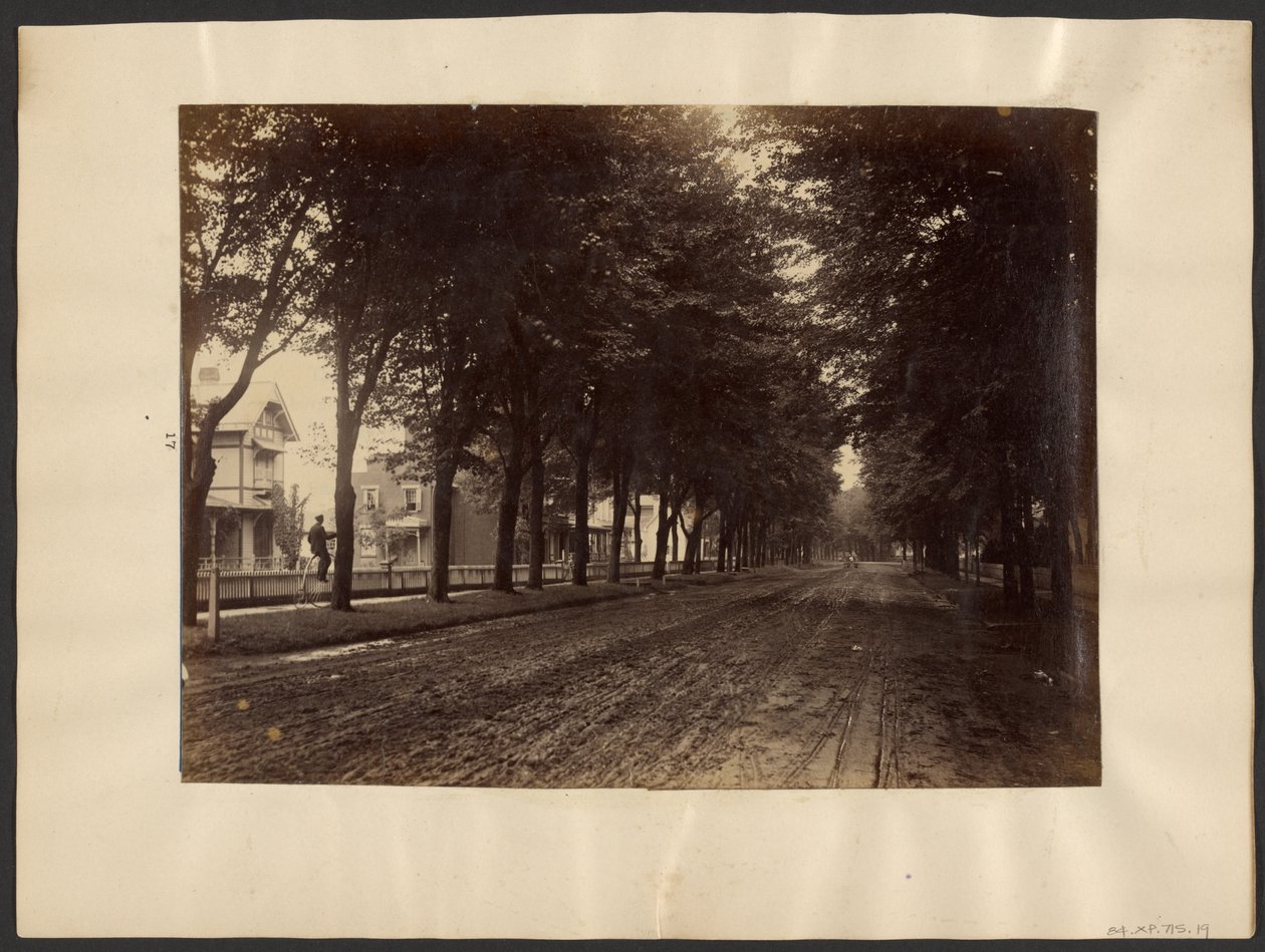[Rue bordée d