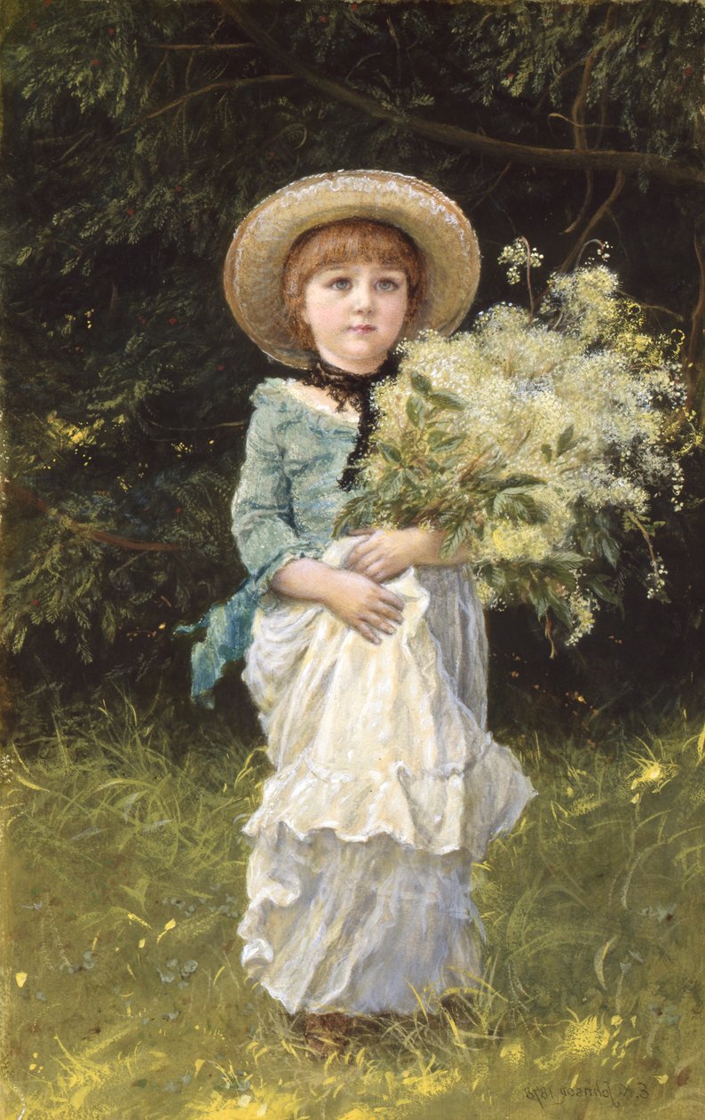 Reine-des-prés - Edward Killingworth Johnson