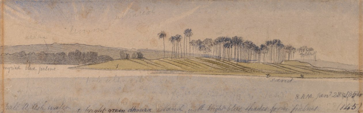 Île de Dhoura - Edward Lear