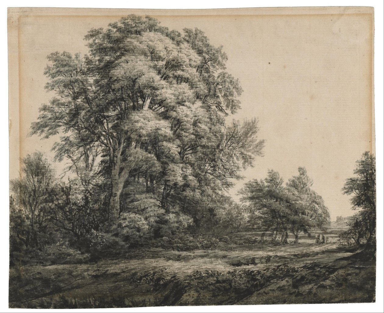 Paysage forestier - Edward Lear