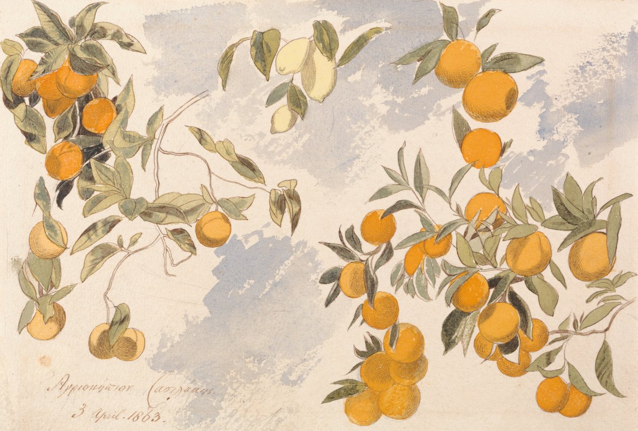 Arbres fruitiers, 3 avril 1863 - Edward Lear