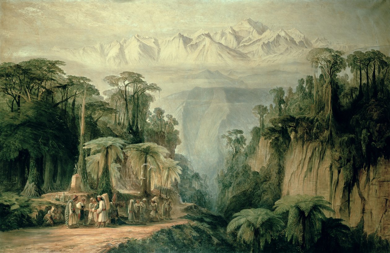 Image inconnue - Edward Lear
